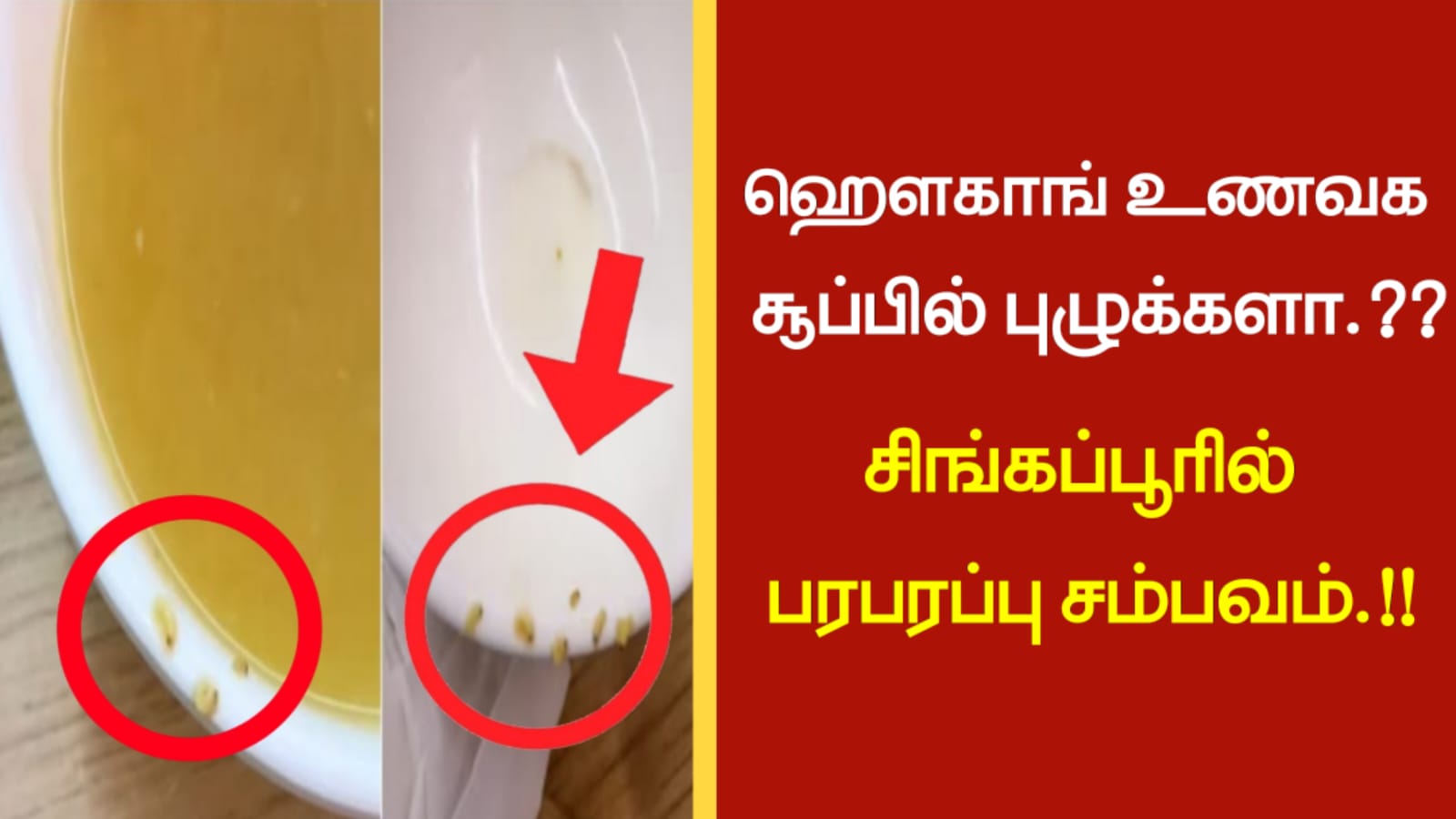 ஹௌகாங் உணவக சூப்பில் புழுக்களா…??? சிங்கப்பூரில் பரபரப்பு சம்பவம்…!!!