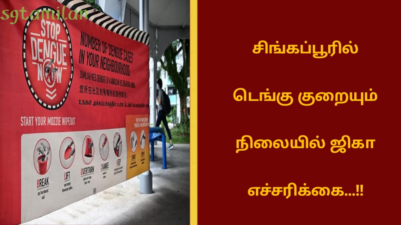 சிங்கப்பூரில் டெங்கு குறையும் நிலையில் ஜிகா எச்சரிக்கை…!!