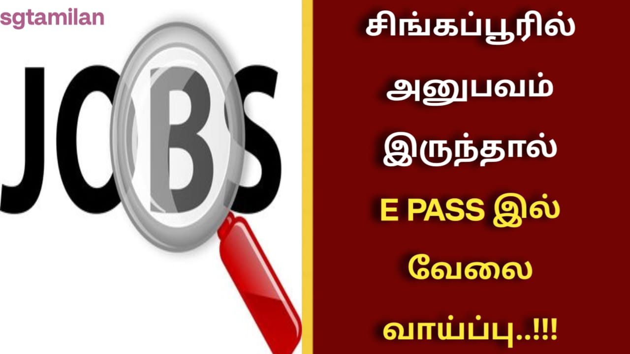 சிங்கப்பூரில் அனுபவம் இருந்தால் E PASS இல் வேலை வாய்ப்பு..!!!