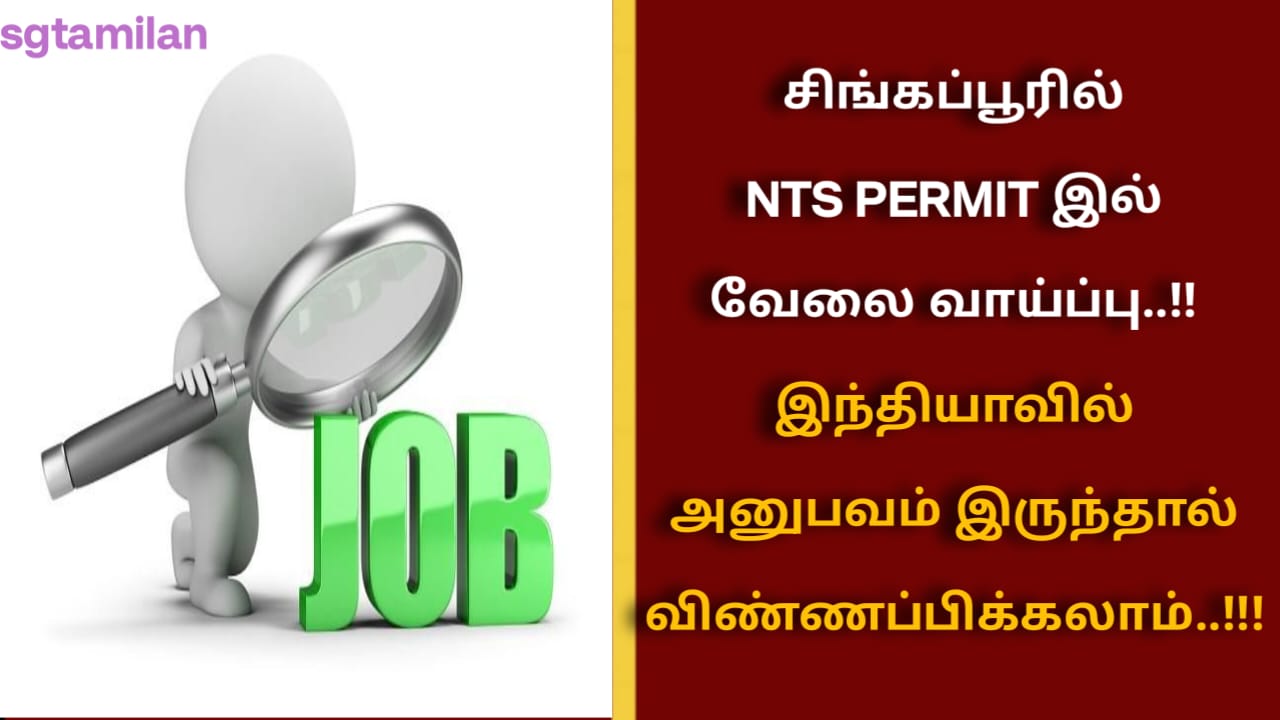 சிங்கப்பூரில் NTS PERMIT இல் வேலை வாய்ப்பு..!! இந்தியாவில் அனுபவம் இருந்தால் விண்ணப்பிக்கலாம்..!!!