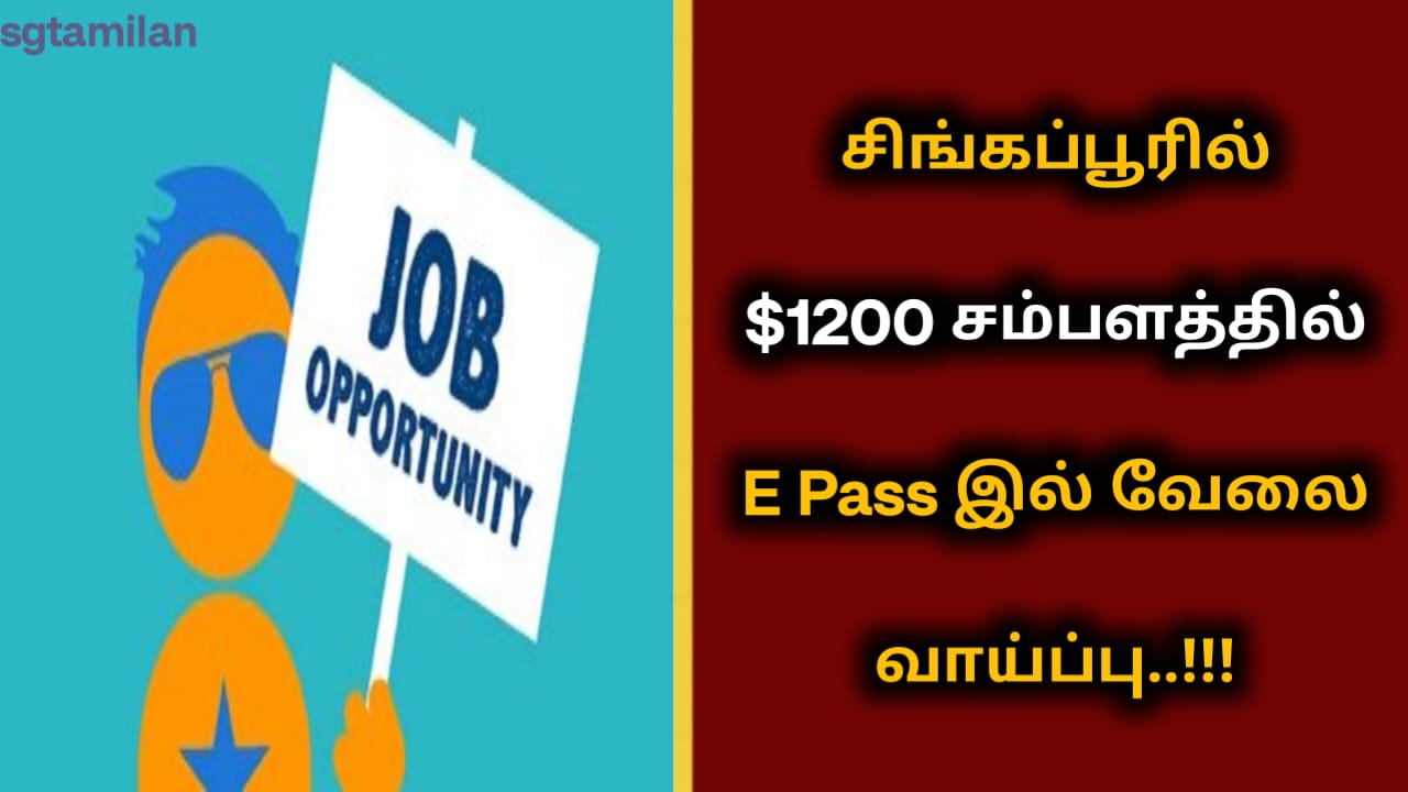சிங்கப்பூரில் $1200 சம்பளத்தில் E Pass இல் வேலை வாய்ப்பு..!!!