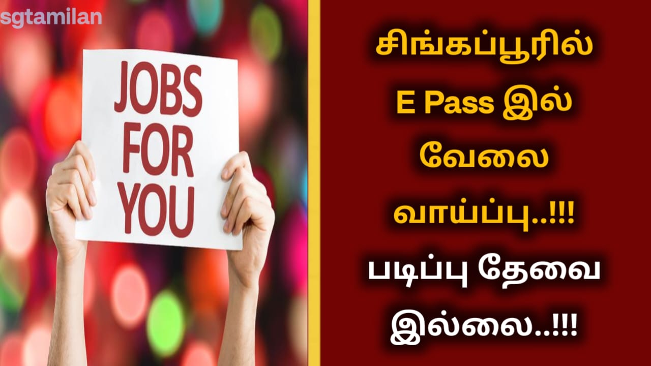 சிங்கப்பூரில் E Pass இல் வேலை வாய்ப்பு..!!! படிப்பு தேவை இல்லை..!!!