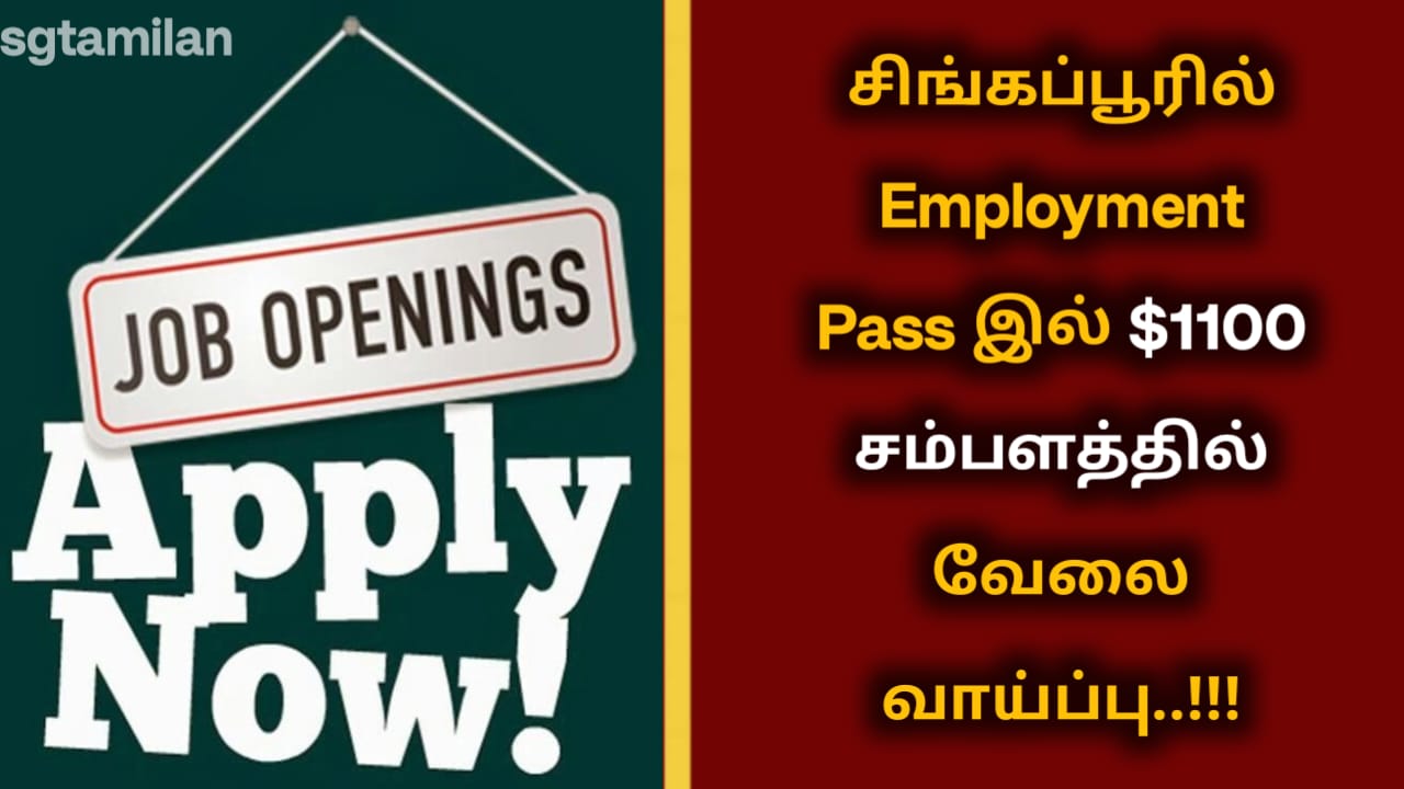 சிங்கப்பூரில் Employment Pass இல் $1100 சம்பளத்தில் வேலை வாய்ப்பு..!!!