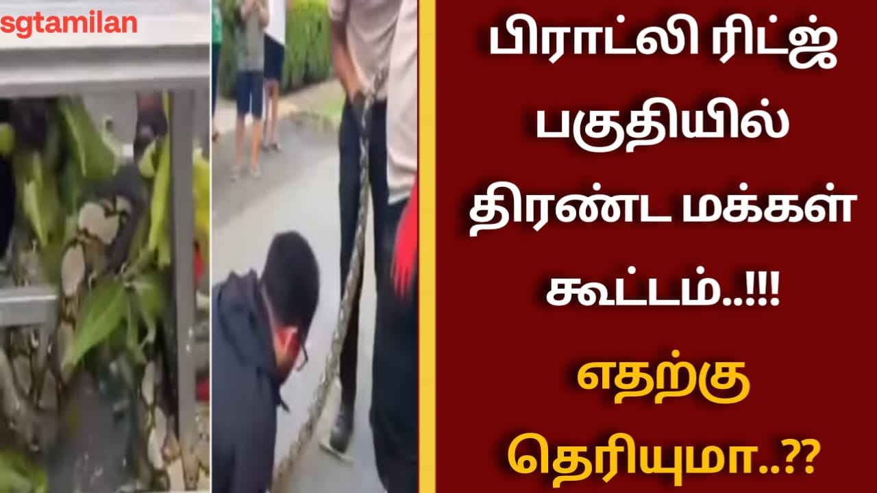பிராட்லி ரிட்ஜ் பகுதியில் திரண்ட மக்கள் கூட்டம்..!!! எதற்கு தெரியுமா..??