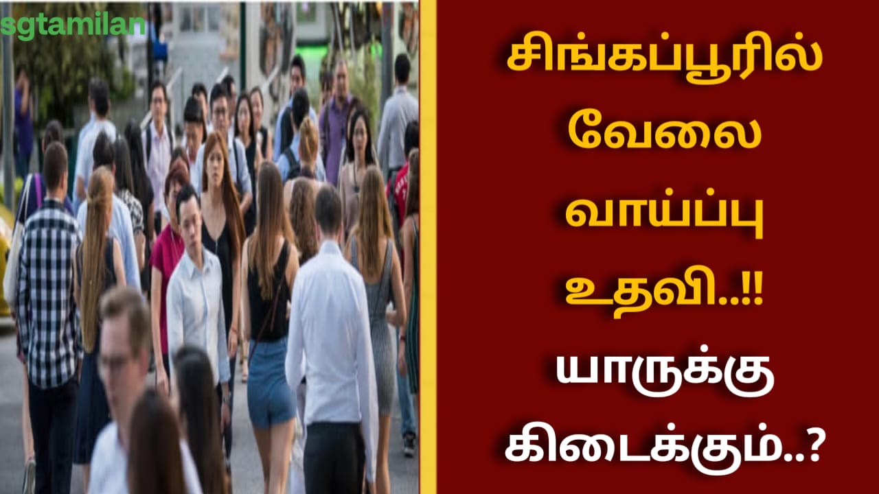 சிங்கப்பூரில் வேலை வாய்ப்பு உதவி..!! யாருக்கு கிடைக்கும்..?