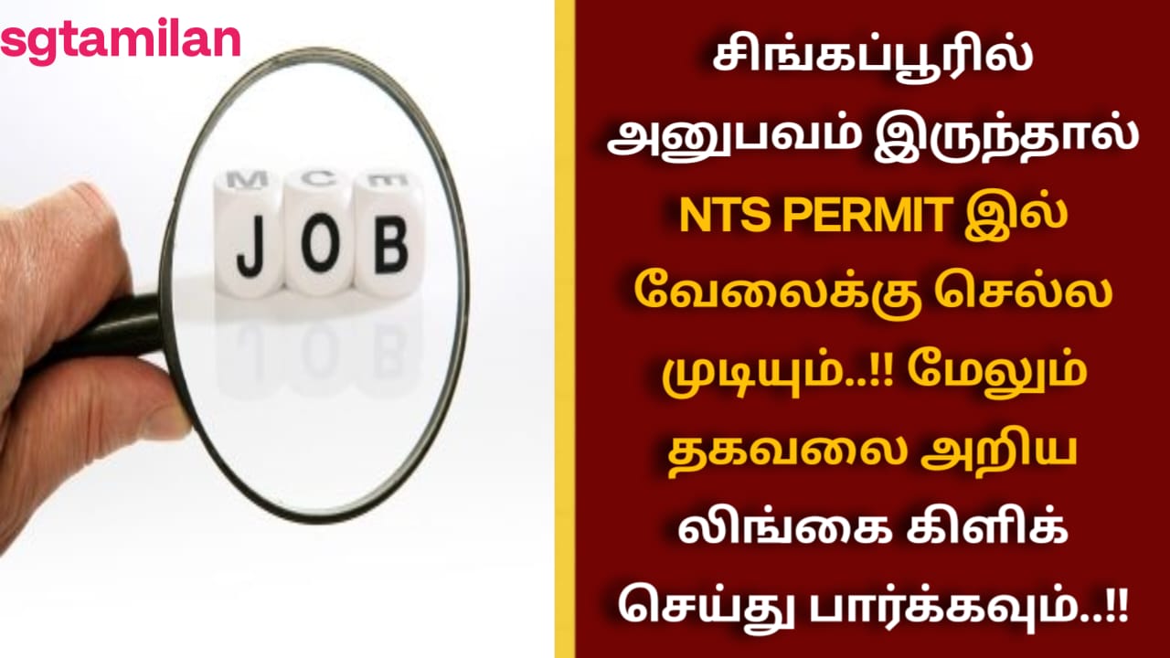சிங்கப்பூரில் அனுபவம் இருந்தால் NTS PERMIT இல் வேலைக்கு செல்ல முடியும்..!! மேலும் தகவலை அறிய லிங்கை கிளிக் செய்து பார்க்கவும்..!!