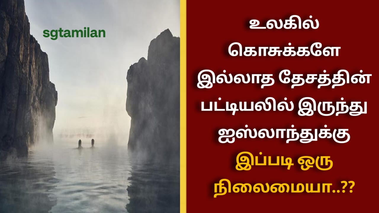 உலகில் கொசுக்களே இல்லாத தேசத்தின் பட்டியலில் இருந்து ஐஸ்லாந்துக்கு இப்படி ஒரு நிலைமையா..??