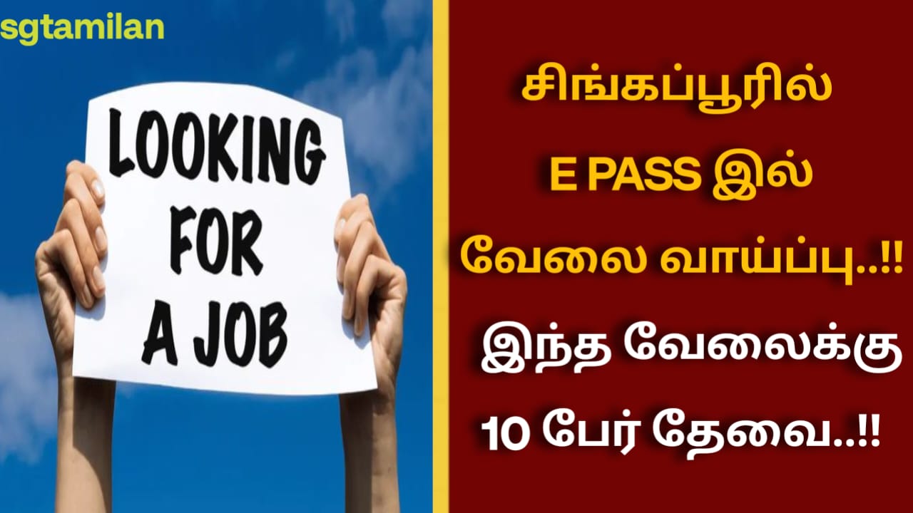 சிங்கப்பூரில் E PASS இல் வேலை வாய்ப்பு..!! இந்த வேலைக்கு 10 பேர் தேவை..!!
