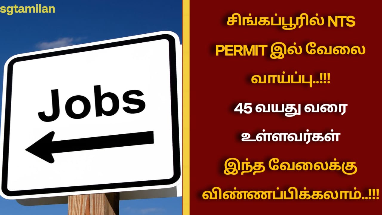 சிங்கப்பூரில் NTS PERMIT இல் வேலை வாய்ப்பு..!!!45 வயது வரை உள்ளவர்கள் இந்த வேலைக்கு விண்ணப்பிக்கலாம்..!!!