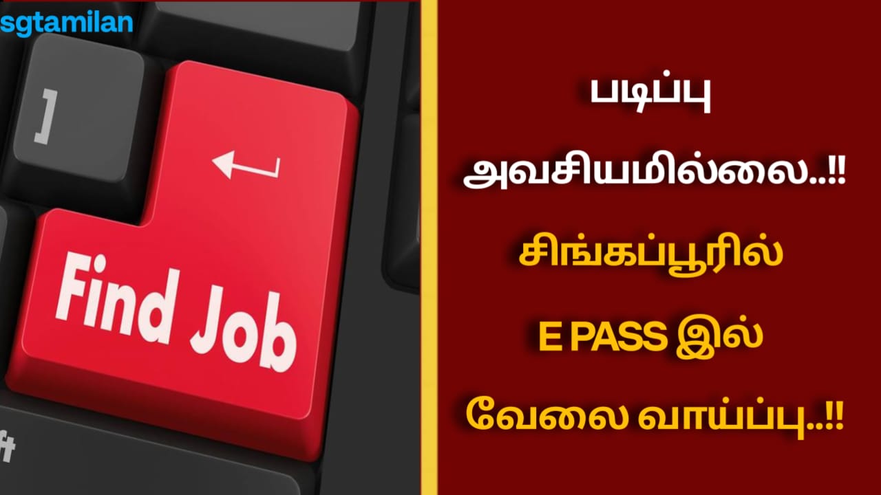 படிப்பு அவசியமில்லை..!! சிங்கப்பூரில் E PASS இல் வேலை வாய்ப்பு..!!