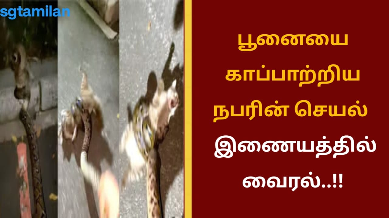 பூனையை காப்பாற்றிய நபரின் செயல் இணையத்தில் வைரல்..!!