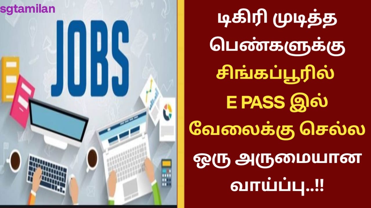 டிகிரி முடித்த பெண்களுக்கு சிங்கப்பூரில் E PASS இல் வேலைக்கு செல்ல ஒரு அருமையான வாய்ப்பு..!!