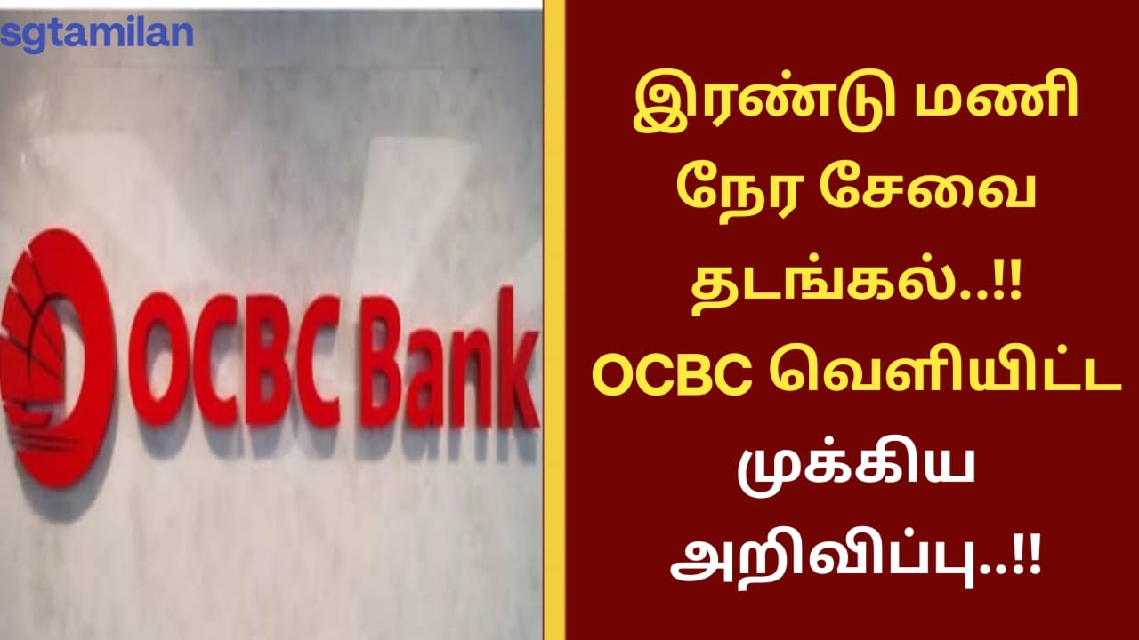 ஒரு மாத இடைவெளிக்குப் பிறகு மீண்டும் தொடங்கும் Aeroline சேவை..!!