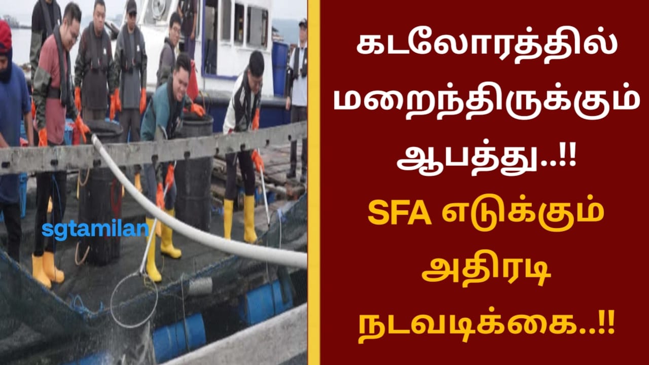 கடலோரத்தில் மறைந்திருக்கும் ஆபத்து..!!SFA எடுக்கும் அதிரடி நடவடிக்கை..!!