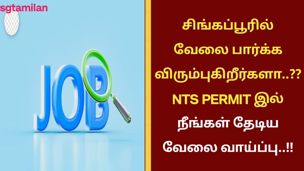 சிங்கப்பூரில் வேலை பார்க்க விரும்புகிறீர்களா..?? NTS PERMIT இல் நீங்கள் தேடிய வேலை வாய்ப்பு..!!