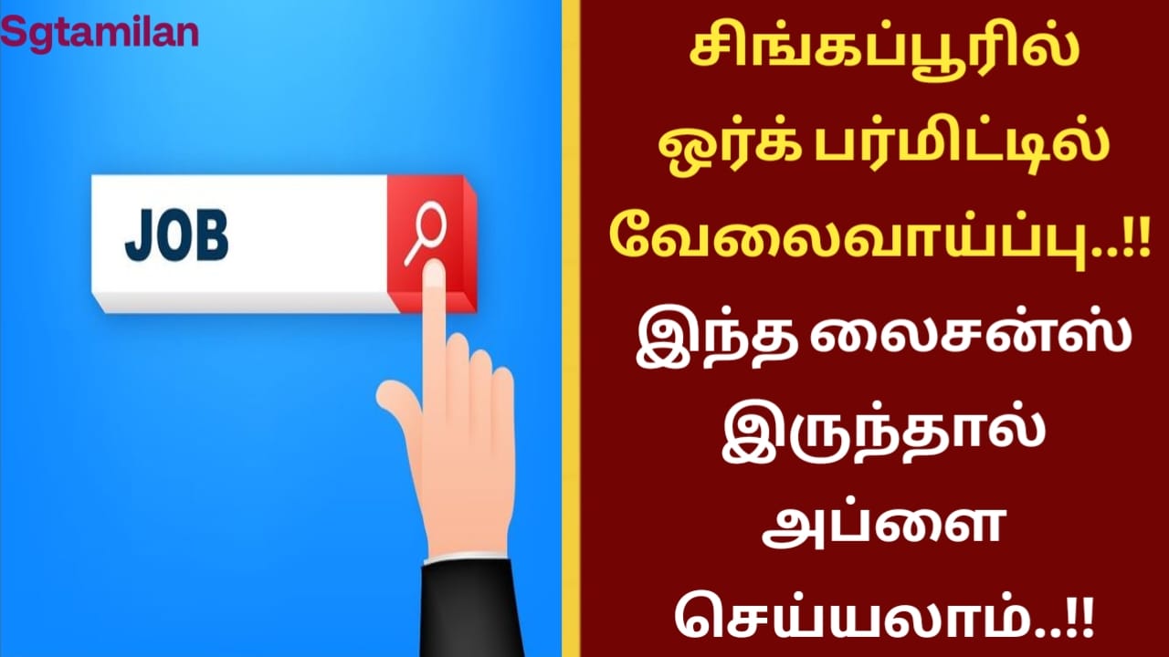 சிங்கப்பூரில் ஒர்க் பர்மிட்டில் வேலைவாய்ப்பு..!! இந்த லைசன்ஸ் இருந்தால் அப்ளை செய்யலாம்..!!