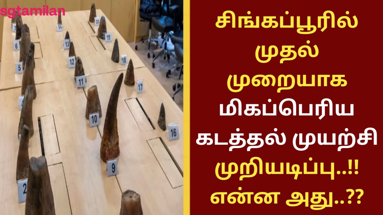 சிங்கப்பூரில் முதல் முறையாக மிகப்பெரிய கடத்தல் முயற்சி முறியடிப்பு..!! என்ன அது..??
