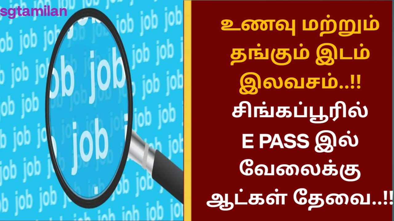 உணவு மற்றும் தங்கும் இடம் இலவசம்..!! சிங்கப்பூரில் E PASS இல் வேலைக்கு ஆட்கள் தேவை..!!