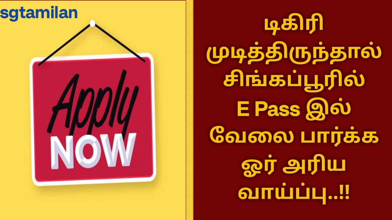 டிகிரி முடித்திருந்தால் சிங்கப்பூரில் E Pass இல் வேலை பார்க்க ஓர் அரிய வாய்ப்பு..!!