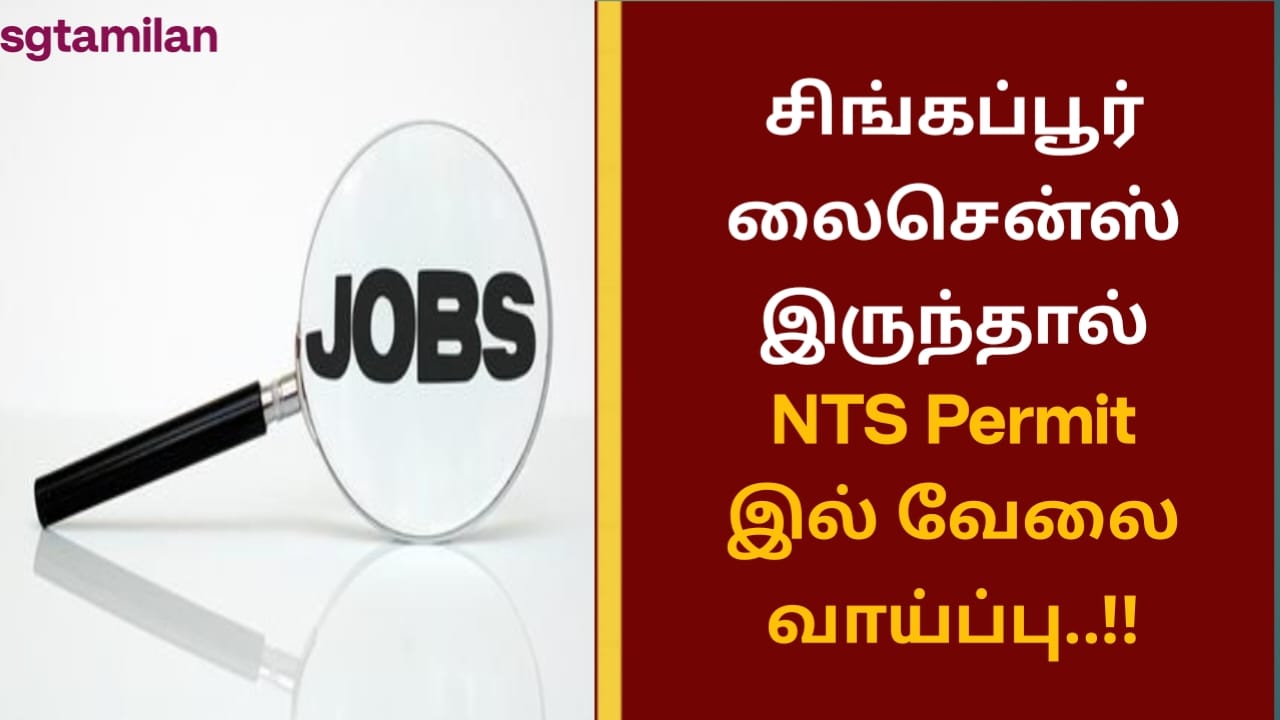 சிங்கப்பூர் லைசென்ஸ் இருந்தால் NTS Permit இல் வேலை வாய்ப்பு..!!