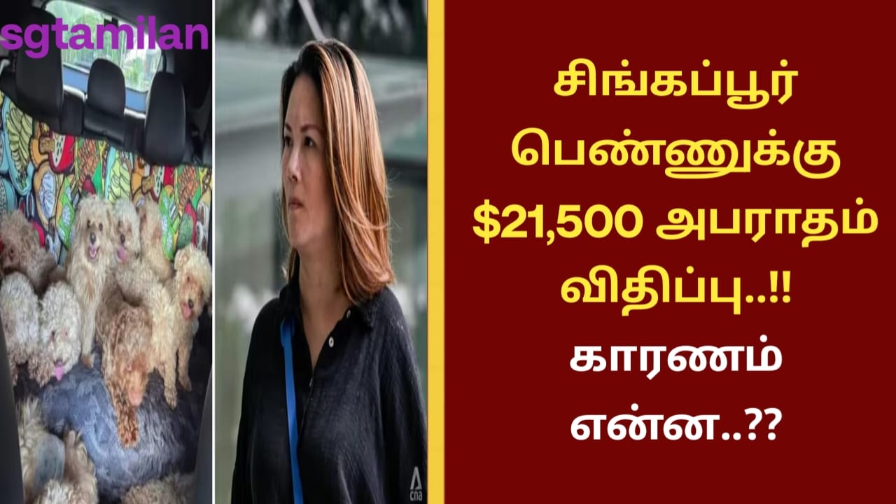 சிங்கப்பூர் பெண்ணுக்கு $21,500 அபராதம் விதிப்பு..!! காரணம் என்ன..??