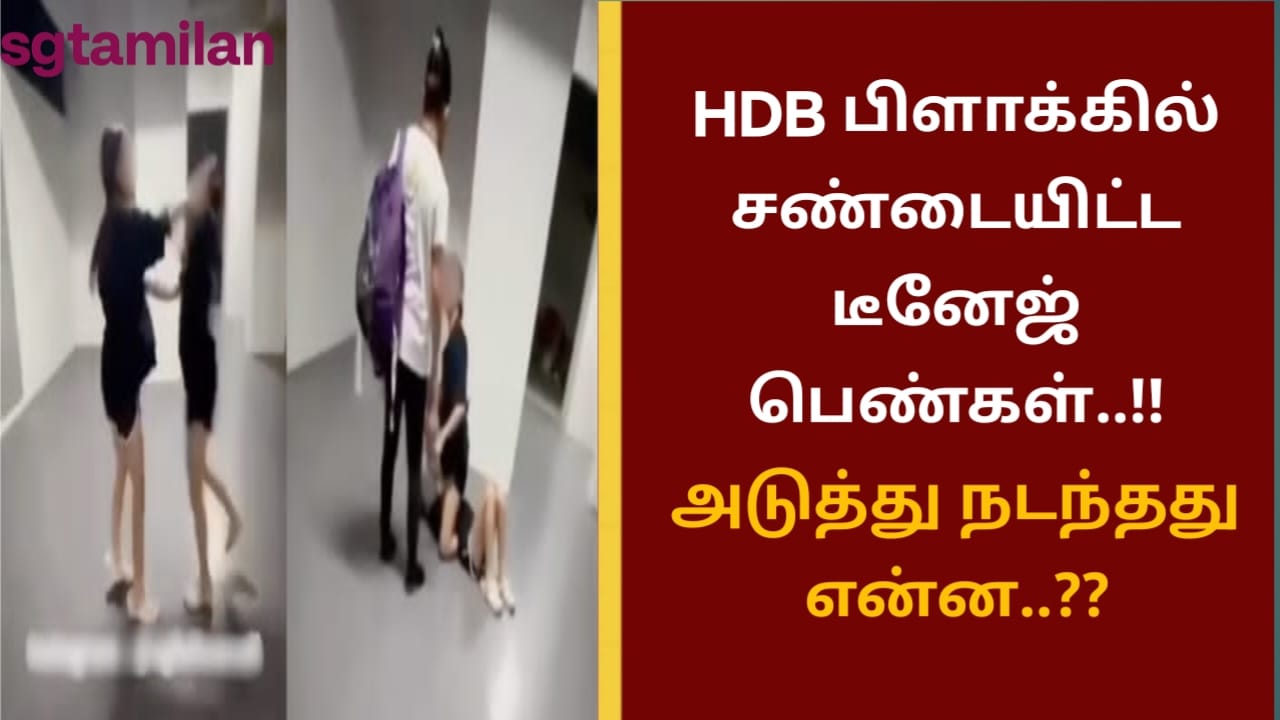HDB பிளாக்கில் சண்டையிட்ட டீனேஜ் பெண்கள்..!! அடுத்து நடந்தது என்ன..??
