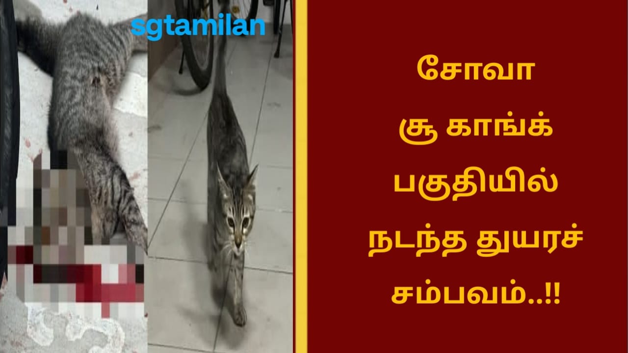 சோவா சூ காங்க் பகுதியில் நடந்த துயரச் சம்பவம்..!!