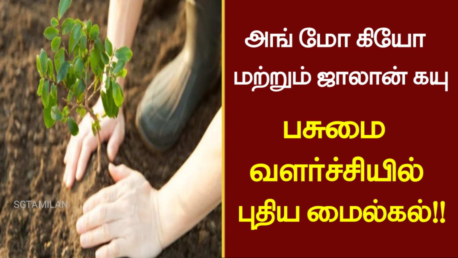 அங் மோ கியோ மற்றும் ஜாலான் கயு – பசுமை வளர்ச்சியில் புதிய மைல்கல்..!!