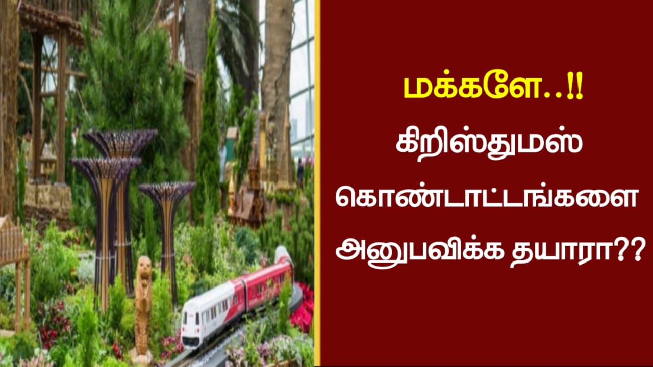 மக்களே..!!கிறிஸ்துமஸ் கொண்டாட்டங்களை அனுபவிக்க தயாரா..??