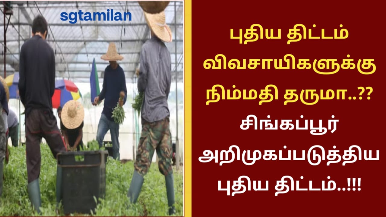 புதிய திட்டம் விவசாயிகளுக்கு நிம்மதி தருமா..?? சிங்கப்பூர் அறிமுகப்படுத்திய புதிய திட்டம்..!!!