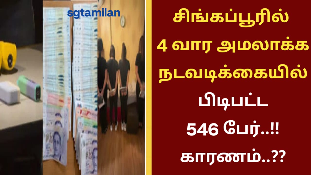 சிங்கப்பூரில் 4 வார அமலாக்க நடவடிக்கையில் பிடிபட்ட 546 பேர்..!! காரணம்..??
