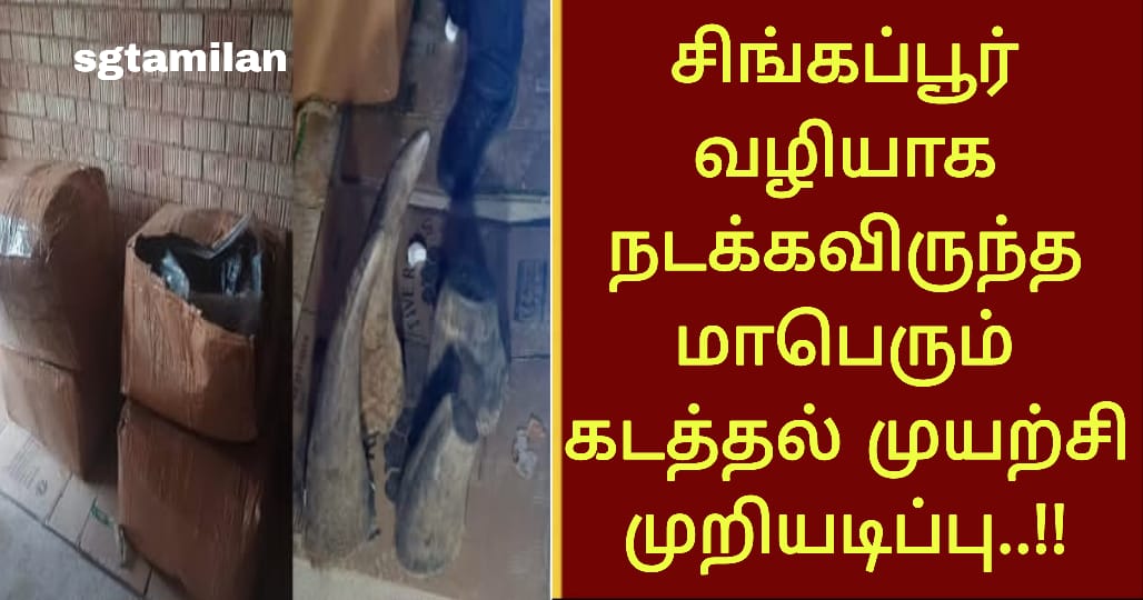 சிங்கப்பூர் வழியாக நடக்கவிருந்த மாபெரும் கடத்தல் முயற்சி முறியடிப்பு..!!