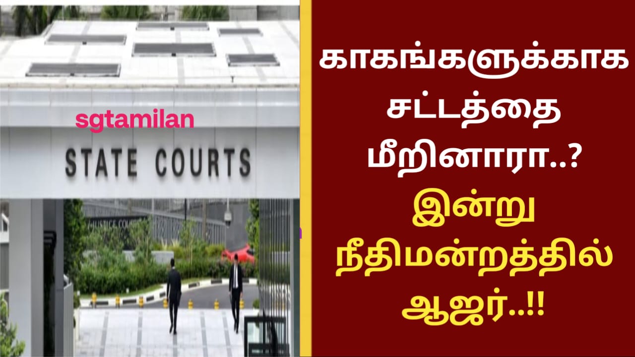 காகங்களுக்காக சட்டத்தை மீறினாரா..? இன்று நீதிமன்றத்தில் ஆஜர்..!!