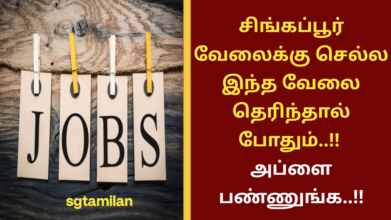 சிங்கப்பூர் வேலைக்கு செல்ல இந்த வேலை தெரிந்தால் போதும்..!! அப்ளை பண்ணுங்க..!!