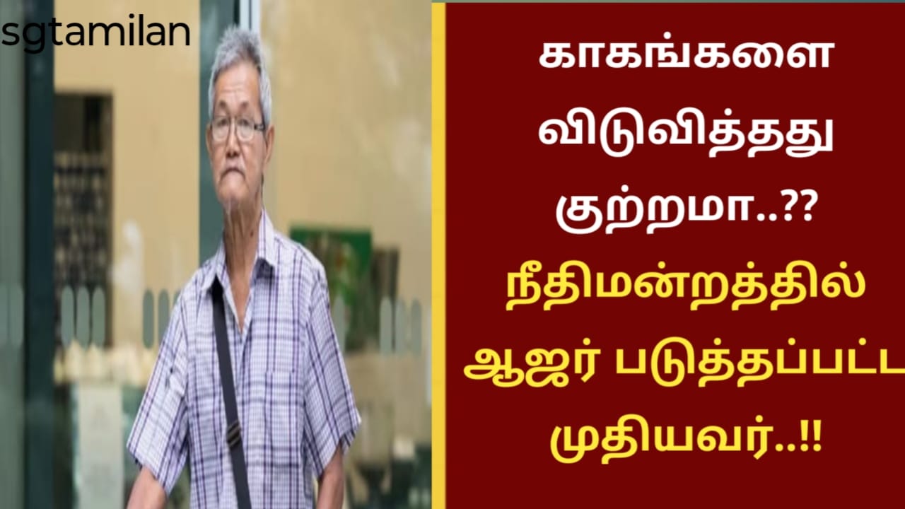 காகங்களை விடுவித்தது குற்றமா..?? நீதிமன்றத்தில் ஆஜர் படுத்தப்பட்ட முதியவர்..!!