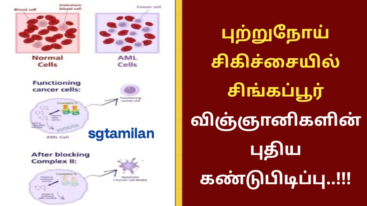 புற்றுநோய் சிகிச்சையில் சிங்கப்பூர் விஞ்ஞானிகளின் புதிய கண்டுபிடிப்பு..!!!