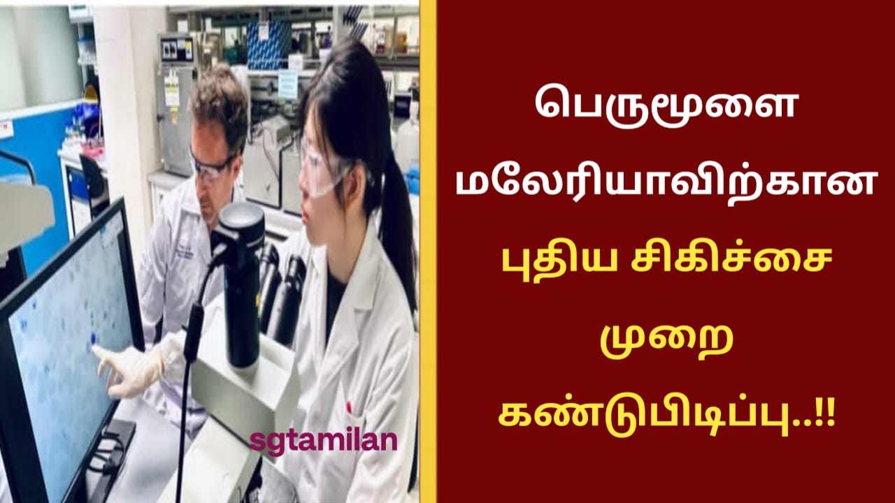 பெருமூளை மலேரியாவிற்கான புதிய சிகிச்சை முறை கண்டுபிடிப்பு..!!