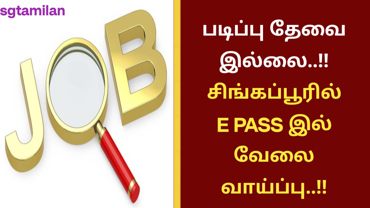 படிப்பு தேவை இல்லை..!! சிங்கப்பூரில் E PASS இல் வேலை வாய்ப்பு..!!