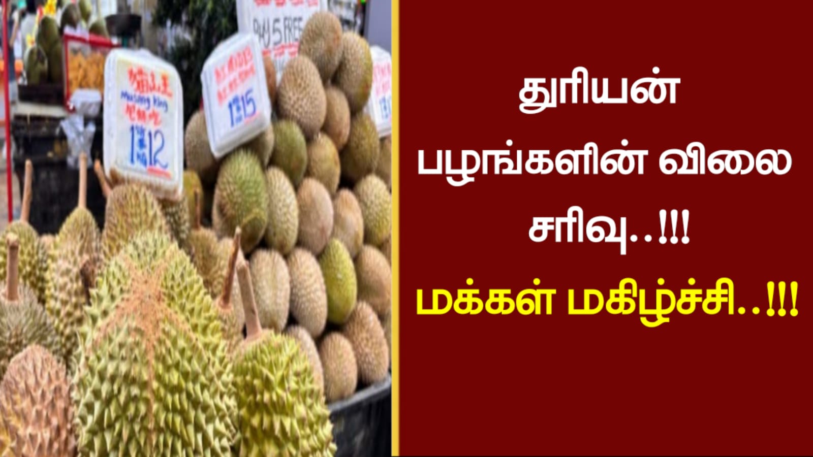துரியன் பழங்களின் விலை சரிவு..!!! மக்கள் மகிழ்ச்சி..!!!