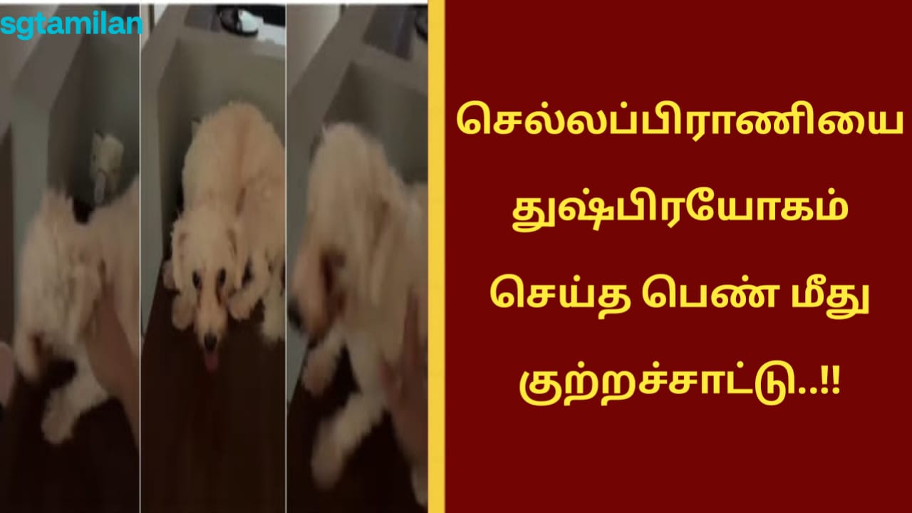 செல்லப்பிராணியை துஷ்பிரயோகம் செய்த பெண் மீது குற்றச்சாட்டு..!!