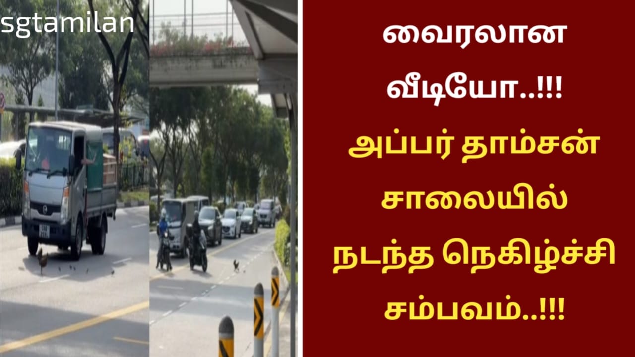 வைரலான வீடியோ..!!! அப்பர் தாம்சன் சாலையில் நடந்த நெகிழ்ச்சி சம்பவம்..!!!