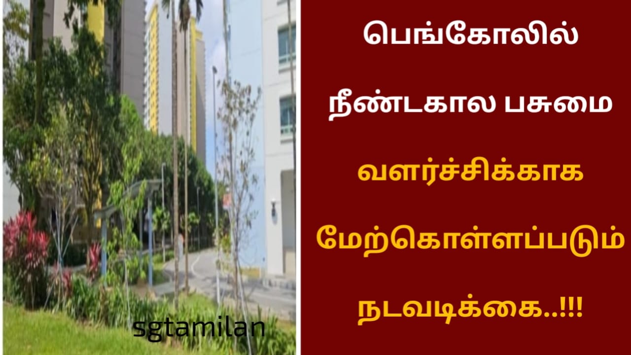 பெங்கோலில் நீண்டகால பசுமை வளர்ச்சிக்காக மேற்கொள்ளப்படும் நடவடிக்கை..!!!
