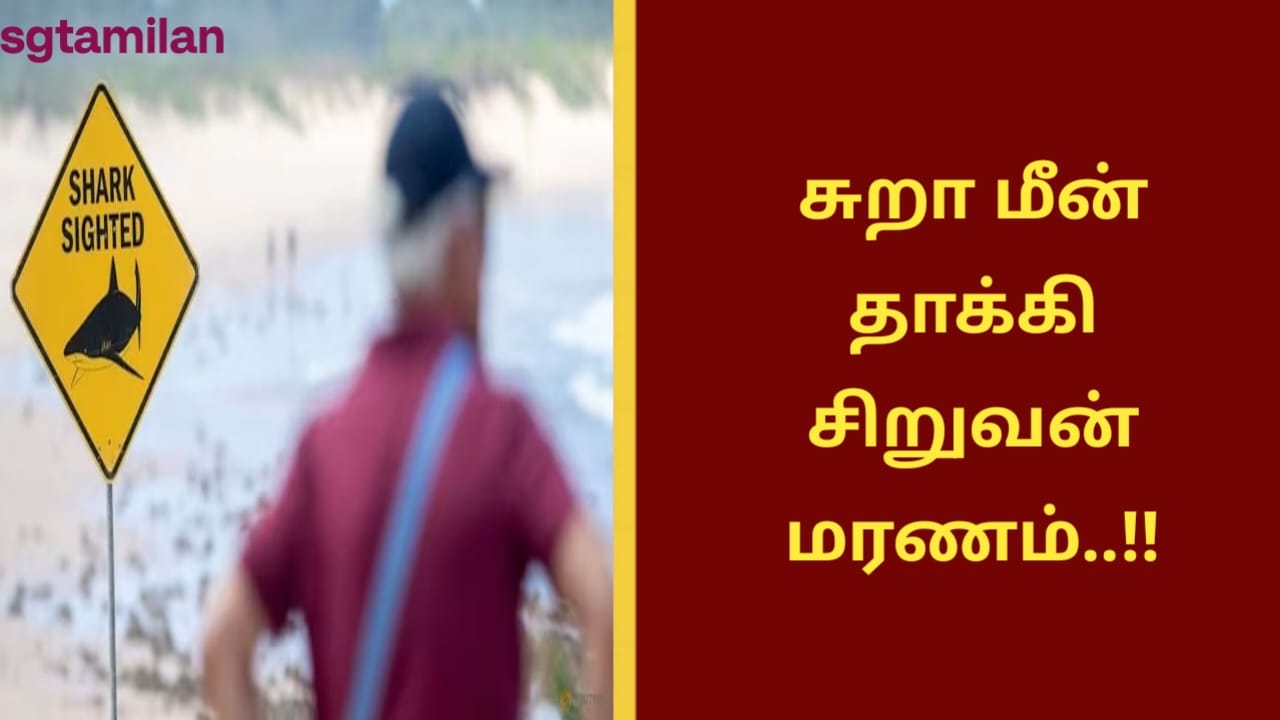 சுறா மீன் தாக்கி சிறுவன் மரணம்..!!