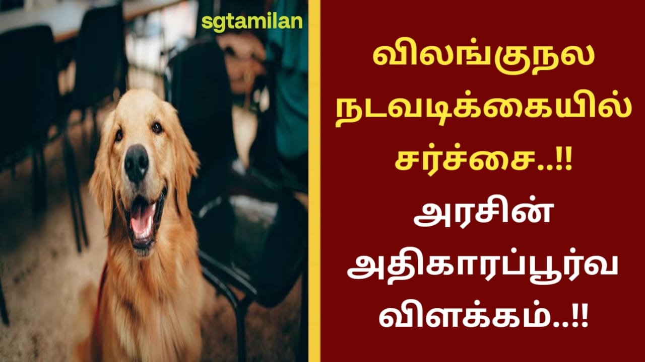 விலங்குநல நடவடிக்கையில் சர்ச்சை..!! அரசின் அதிகாரப்பூர்வ விளக்கம்..!!