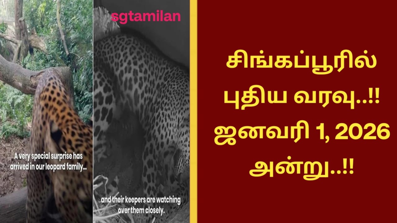 சிங்கப்பூரில் புதிய வரவு..!! ஜனவரி 1, 2026 அன்று..!!