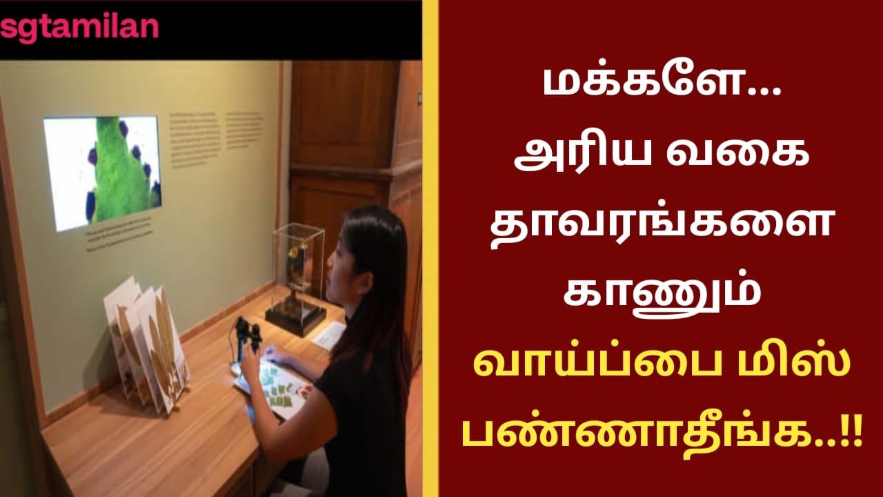 மக்களே… அரிய வகை தாவரங்களை காணும் வாய்ப்பை மிஸ் பண்ணாதீங்க..!!