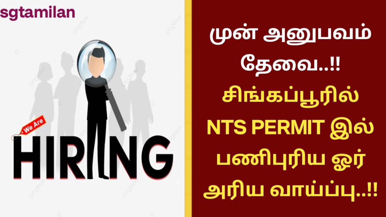 முன் அனுபவம் தேவை..!! சிங்கப்பூரில் NTS PERMIT இல் பணிபுரிய ஓர் அரிய வாய்ப்பு..!!