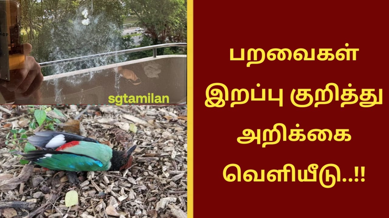 பறவைகள் இறப்பு குறித்து அறிக்கை வெளியீடு..!!