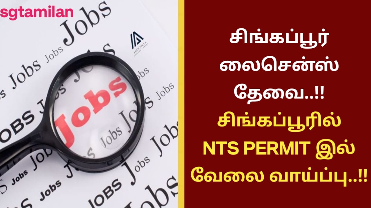 சிங்கப்பூர் லைசென்ஸ் தேவை..!! சிங்கப்பூரில் NTS PERMIT இல் வேலை வாய்ப்பு..!!