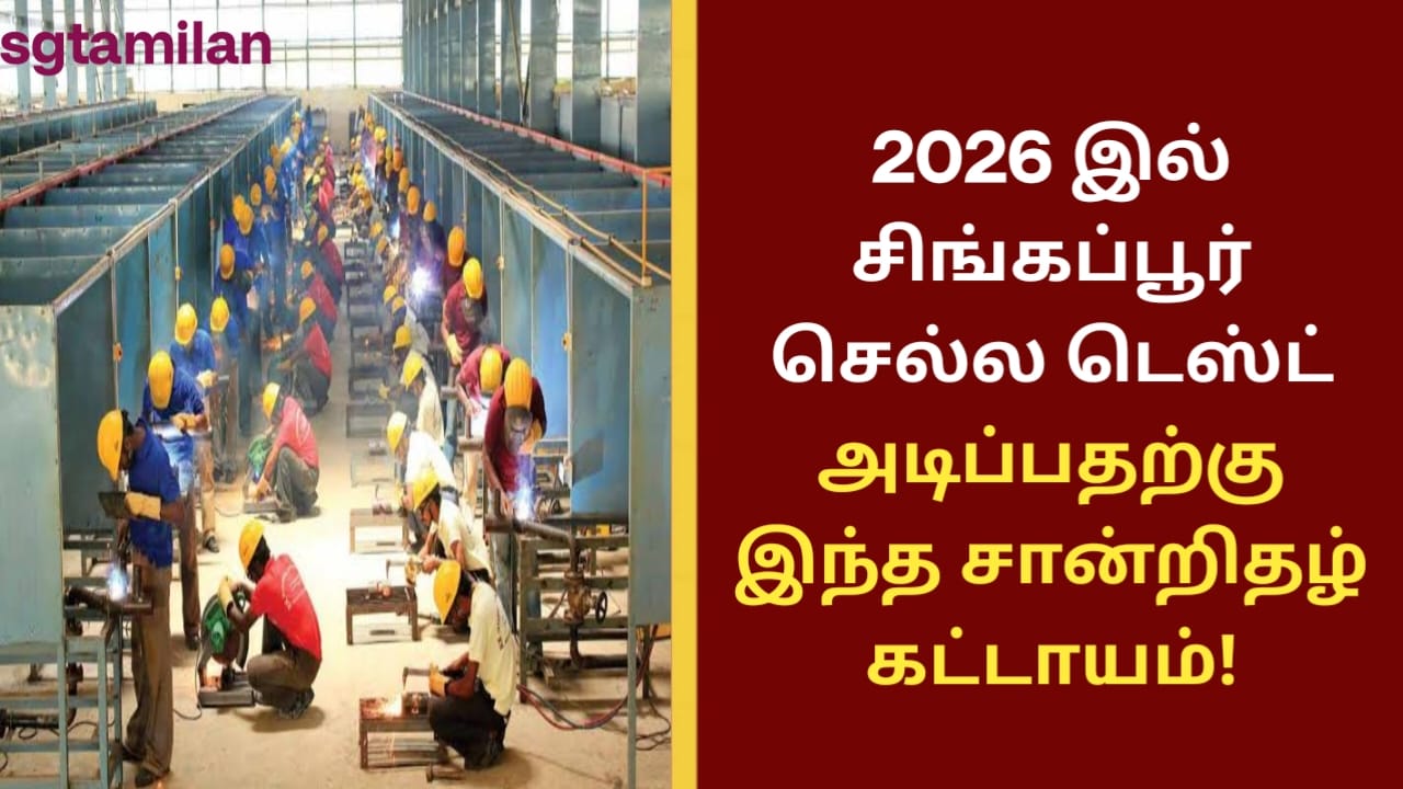 2026 இல் சிங்கப்பூர் செல்ல டெஸ்ட் அடிப்பதற்கு இந்த சான்றிதழ் கட்டாயம்..!! மேலும் விவரங்களை தெரிந்து கொள்ள லிங்கை கிளிக் செய்து பார்க்கவும்..